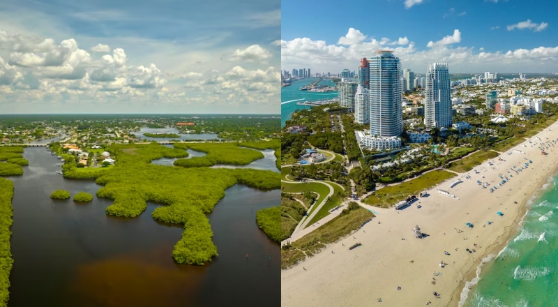 Muito além de Miami: desafios que freiam o Norte da Flórida