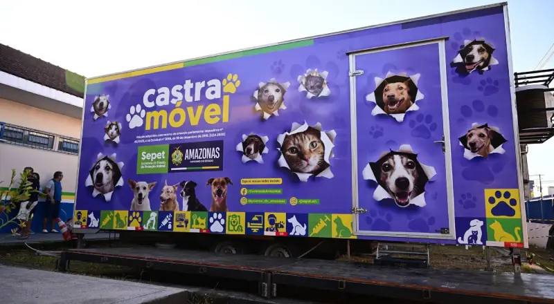 Manaus promove maior ação de castração animal neste domingo grátis