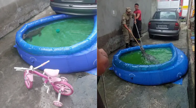 Dona de casa encontra jacaré na piscina das crianças em Manaus