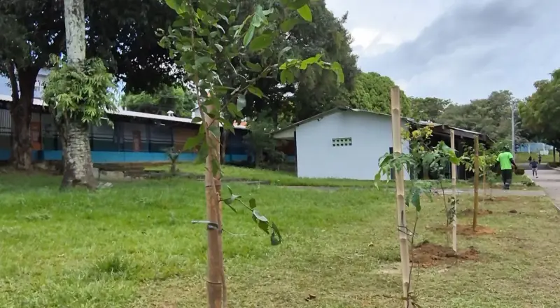 Prefeitura realiza manutenção da arborização e beneficia Parque 10