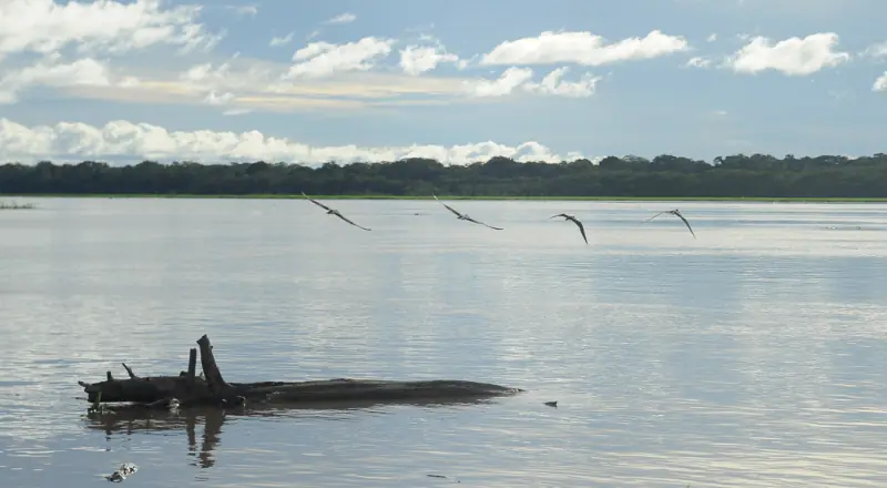 MP do Amazonas fiscaliza ações para prevenção de cheia em Anamã