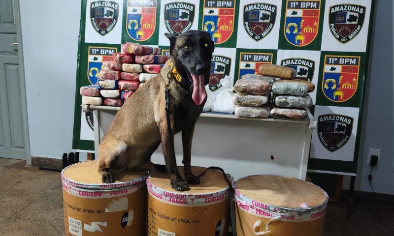 Polícia apreende mais de 72 kg de drogas e impacta tráfico em Parintins