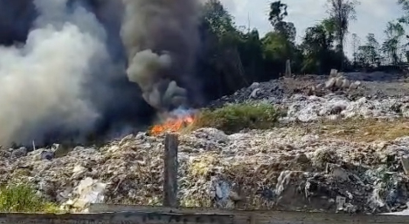 Incêndio de grandes proporções em área de vegetação ameaça Manaus
